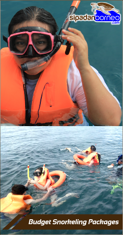 sipadanborneo budget-snorkeling