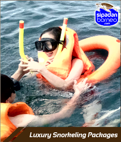sipadanborneo luxury-snorkeling